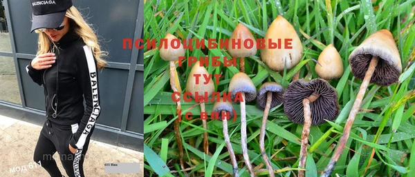 соль ск Осинники