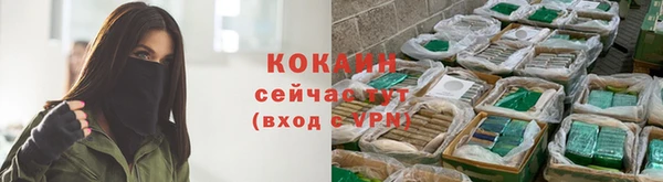 молекула духа Осташков
