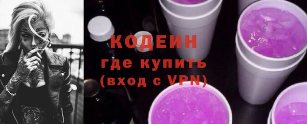 молекула духа Осташков