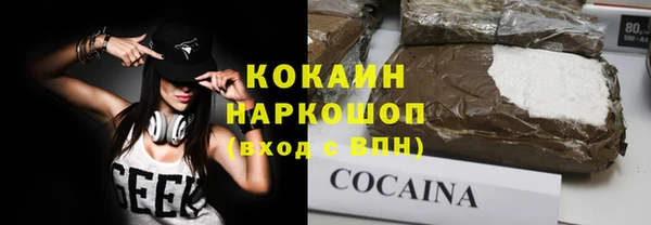 молекула духа Осташков