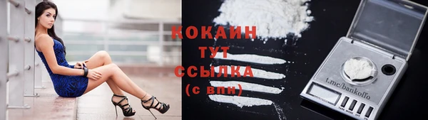 молекула духа Осташков