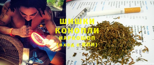 молекула духа Осташков