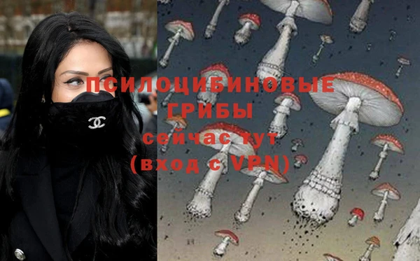 МДПВ Остров