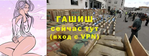 молекула духа Осташков