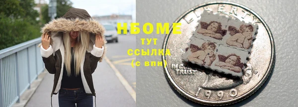 молекула духа Осташков